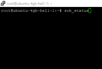 simple cpanel backup status check command